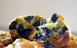 Featured image for Paleo-Friendly Blueberry Muffins