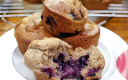 Featured image for Gluten-Free Blueberry Muffins