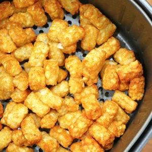 fryer tots tater