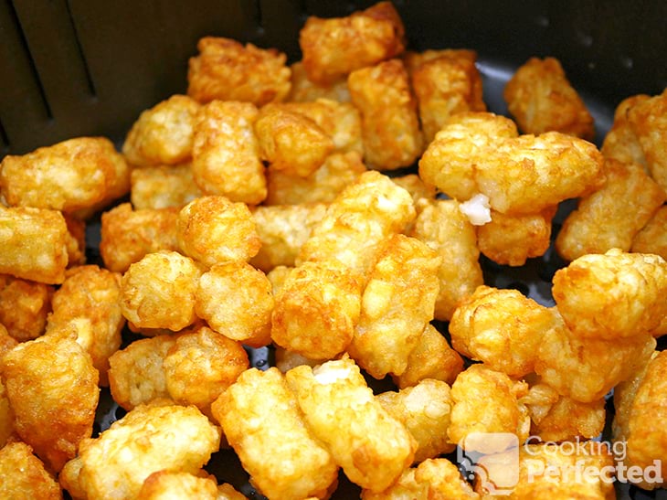 Tater Tots in the Air Fryer