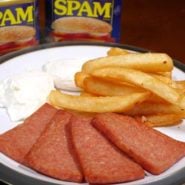 Air Fryer Spam